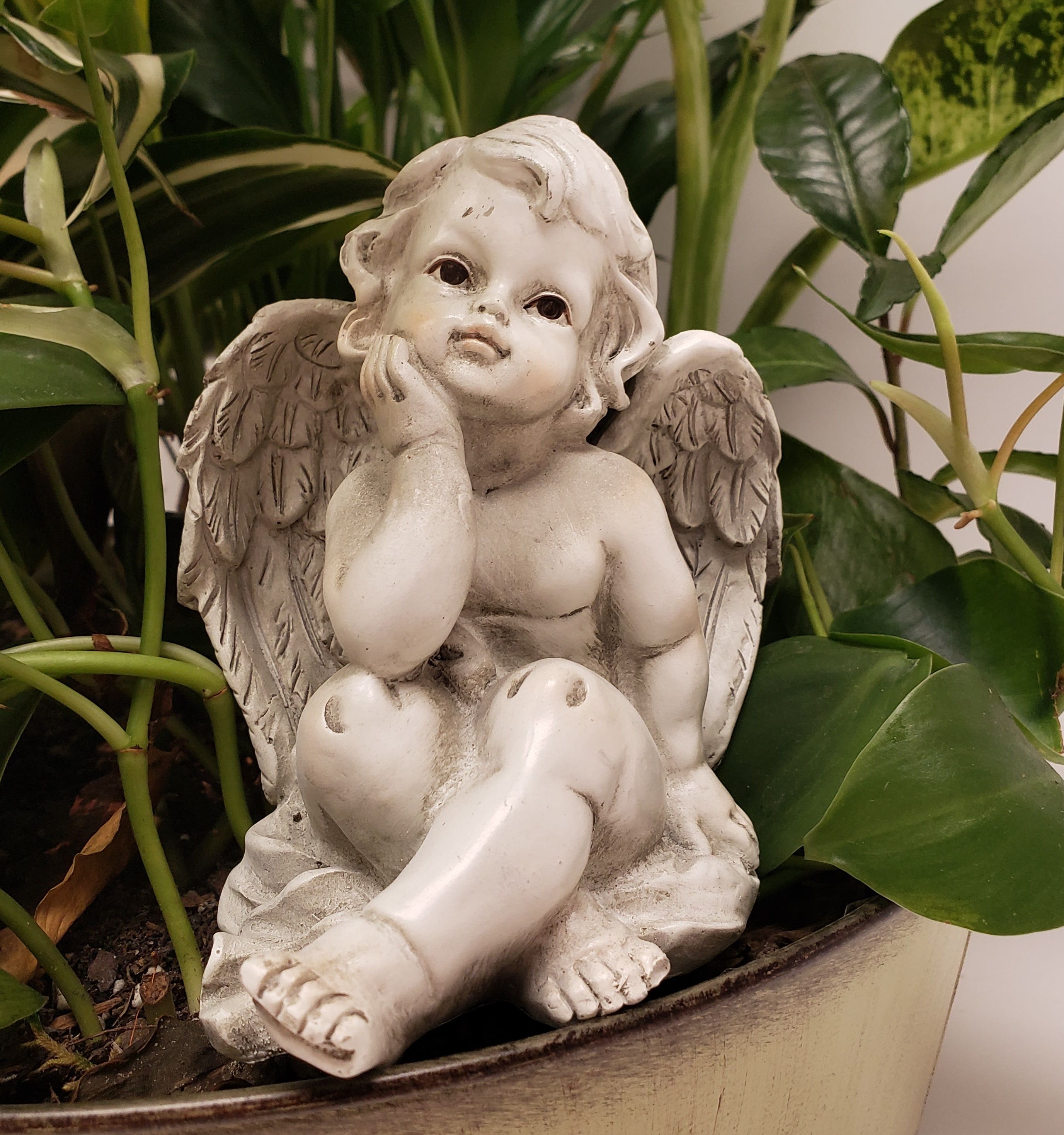 Daydreaming Cherub